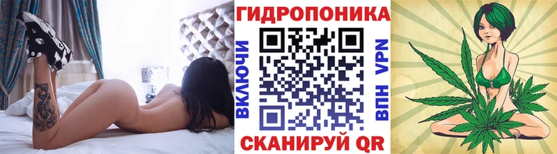 МАРИХУАНА семена  Зуевка 
